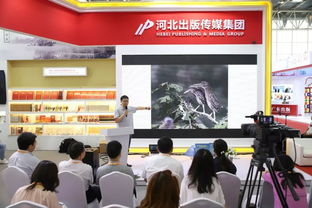 河北出版傳媒集團 北京圖博會上的文化亮眼風景線